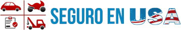 seguro-en-usa-logo_358x60